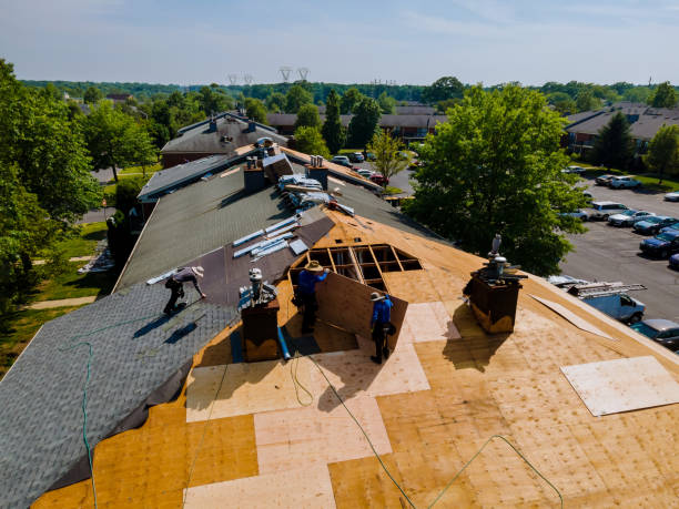 Best Commercial Roof Installation  in West Livingston, TX