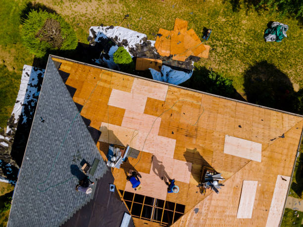Best Metal Roofing Contractor  in West Livingston, TX
