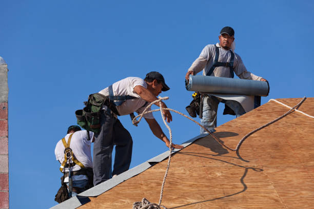Quick and Trustworthy Emergency Roof Repair Services in West Livingston, TX