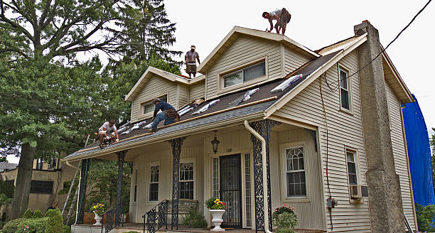 Best Roof Gutter Cleaning  in West Livingston, TX