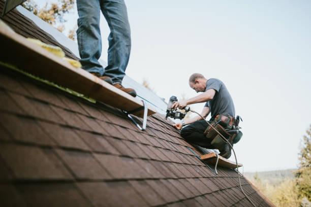 Best Gutter Installation and Roofing  in West Livingston, TX