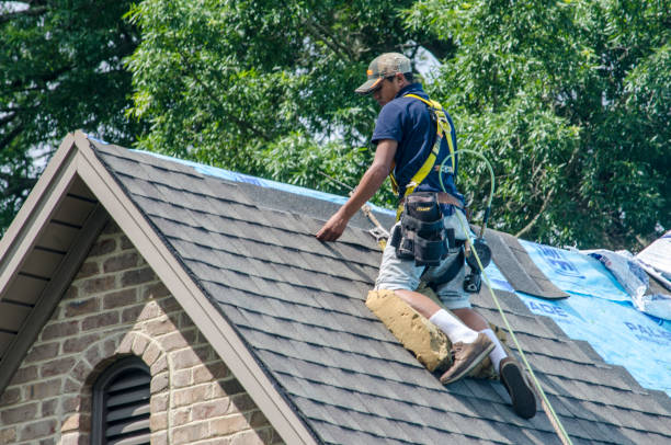 Quick and Trustworthy Emergency Roof Repair Services in West Livingston, TX